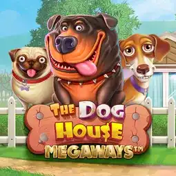 The Dog House Megaways gra w Bassbet Casino dla graczy z Polski