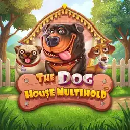 The Dog House Multihold gra w Bassbet Casino dla graczy z Polski
